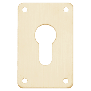 ASEC Screw On 45mm x 70mm Euro Escutcheon - GA