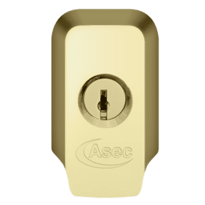 ASEC High Security Rim Cylinder Pull With Cylinder - Polished Brass