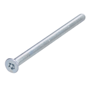 EVVA ZS Resistorx Cylinder Fixing Screw - ZS 80