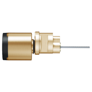 EVVA AirKey Rim Proximity Cylinder - Polished Brass