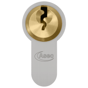 ASEC Vital 6 Pin Double Euro Dual Finish Snap Resistant Cylinder - 105mm 45/60 (40/10/55)